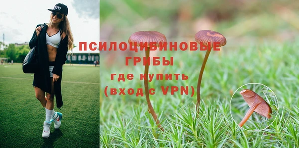 а пвп мука Баксан