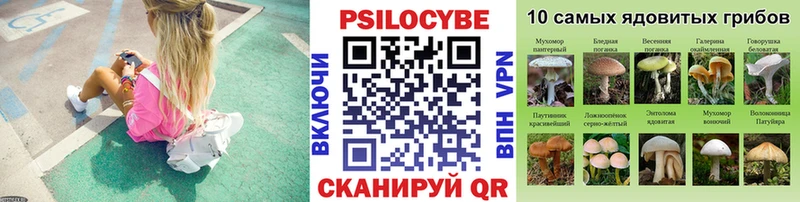 наркотики  Суворов  ссылка на мегу ссылки  Галлюциногенные грибы GOLDEN TEACHER 